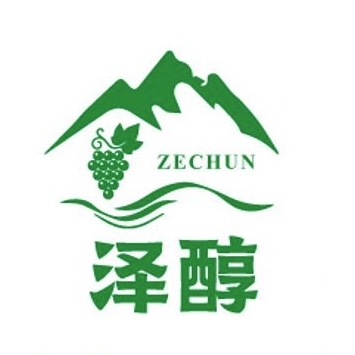 泽醇ZECHUN品牌LOGO