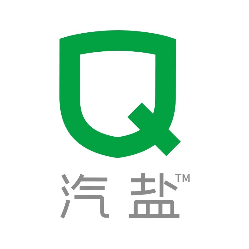 汽盐品牌LOGO
