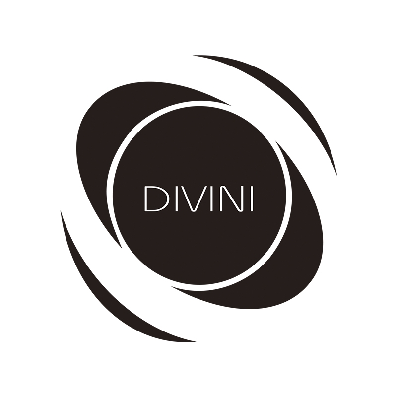 天乐DIVINI- AUDIO品牌LOGO
