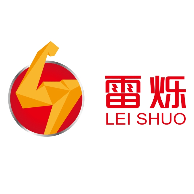 雷烁LEI SHUO品牌LOGO