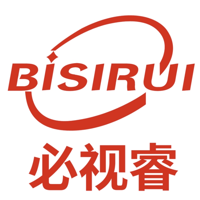 必视睿BISIRUI品牌LOGO