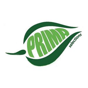 普瑞达PRIMA品牌LOGO