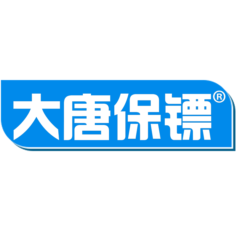 大唐保镖品牌LOGO