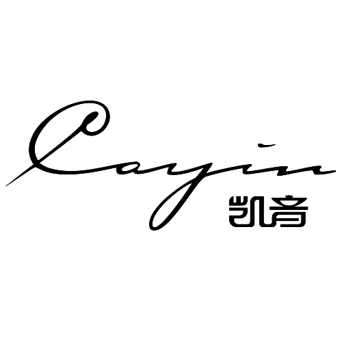 凯音Cayin品牌LOGO