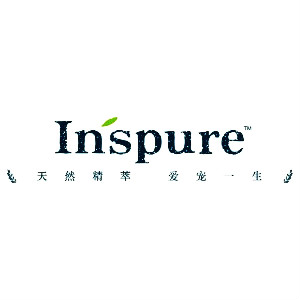 英之珀Inspure品牌LOGO