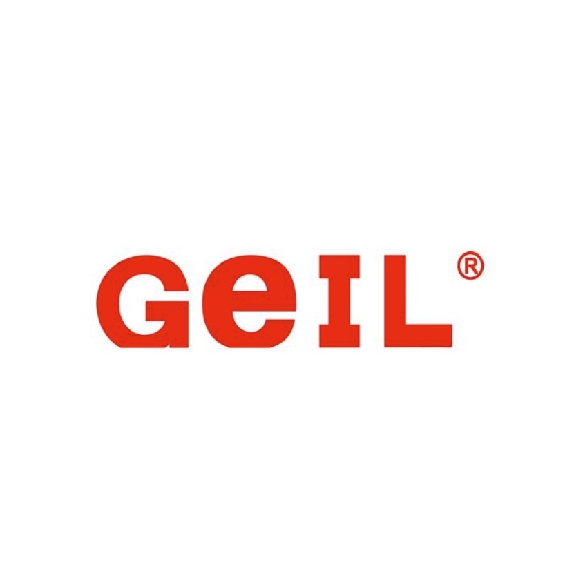 金邦GeIL品牌LOGO