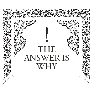 THE ANSWER IS WHY品牌LOGO