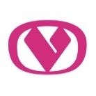 比德文汽车BYVIN AUTO品牌LOGO