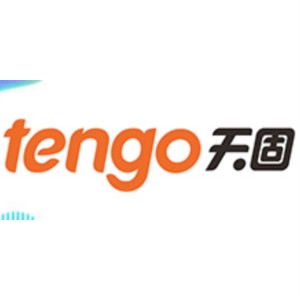 天固制锁tengo品牌LOGO