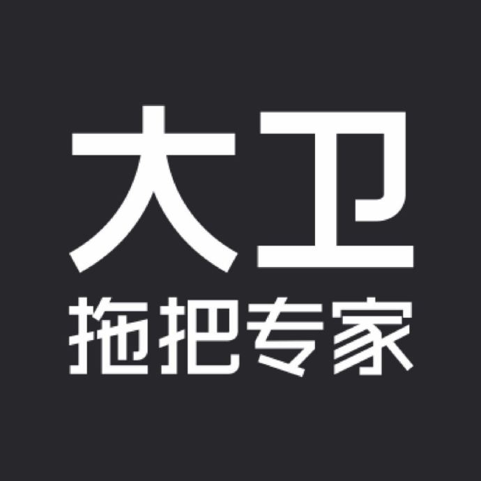 大卫TOPOTO品牌LOGO