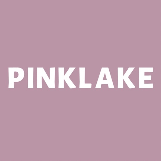 粉之泊PINKLAKE品牌LOGO