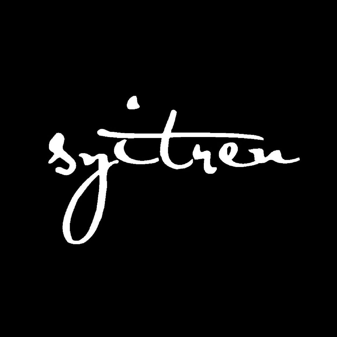 赛塔林syitren品牌LOGO