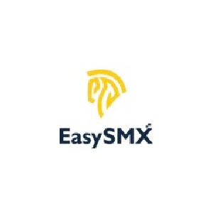 易速马EasySMX品牌LOGO