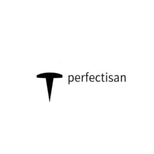 钉子科技PerfecTisan品牌LOGO
