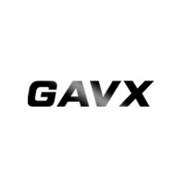 GAVX品牌LOGO