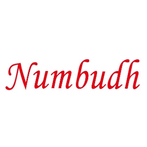 南堡Numbudh品牌LOGO