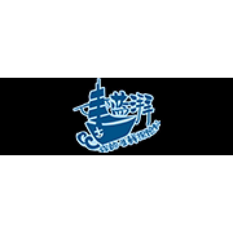 蓝湃品牌LOGO
