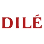 帝力DILE品牌LOGO