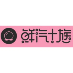 鲜汽十族品牌LOGO