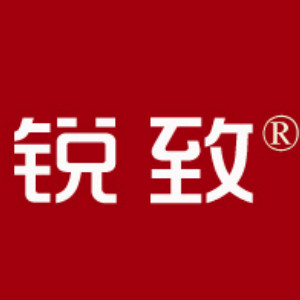 锐致安防品牌LOGO