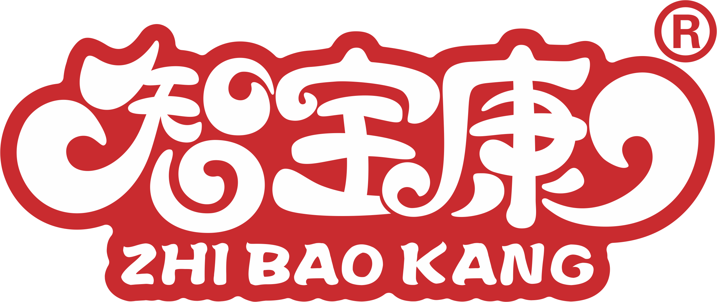 智宝康品牌LOGO