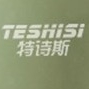 特诗斯TESHISI品牌LOGO