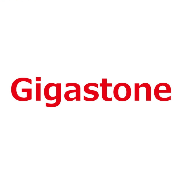 立达Gigastone品牌LOGO