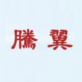 腾翼品牌LOGO