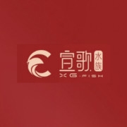宣歌品牌LOGO
