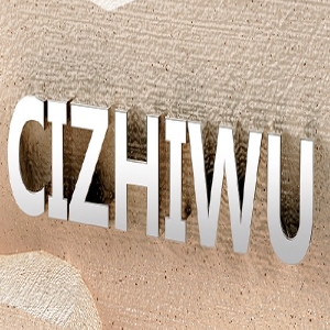 CIZHIWU品牌LOGO