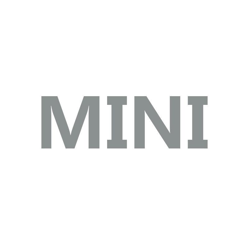 MINI（按摩仪）品牌LOGO