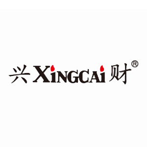 兴财XiNGCAi品牌LOGO