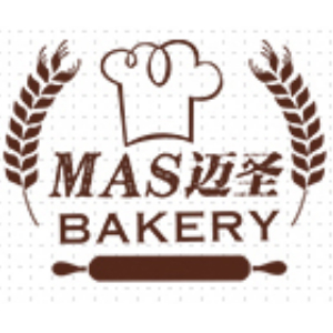 迈圣MAS品牌LOGO