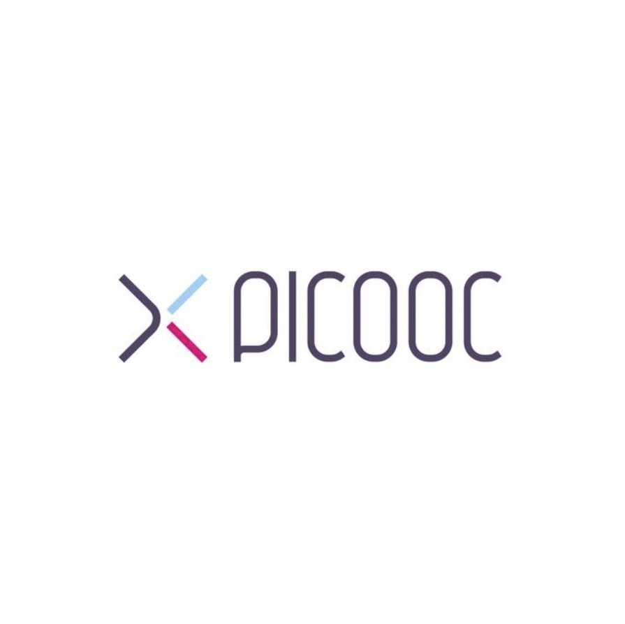 有品PICOOC品牌LOGO