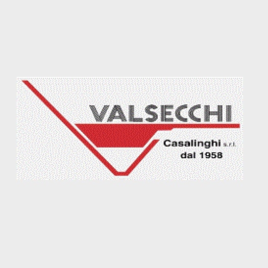 VALSECCHI品牌LOGO