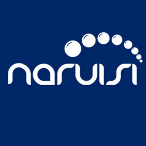 纳瑞斯naruisi品牌LOGO