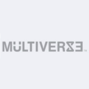 多维宇宙MULTIVERSE品牌LOGO