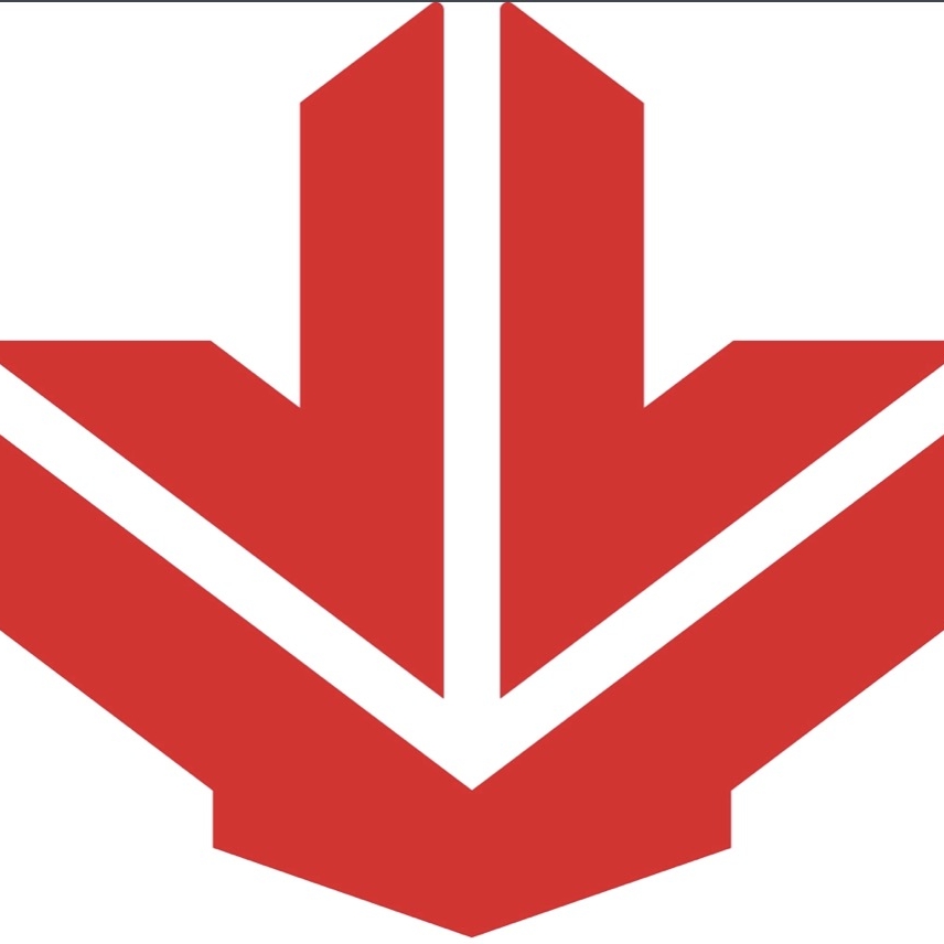睿蓝汽车品牌LOGO