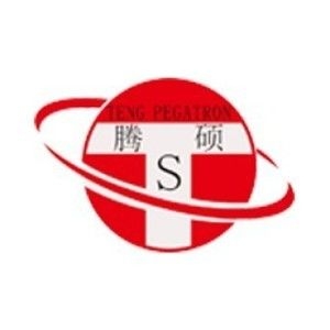 腾硕品牌LOGO