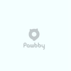 Pawbby品牌LOGO