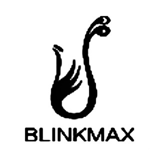 丽尊blinkmax品牌LOGO