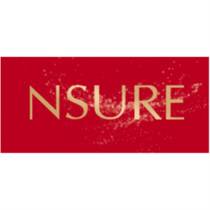 苏美电器NSURE品牌LOGO