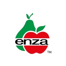 Enza品牌LOGO