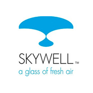 Skywell品牌LOGO
